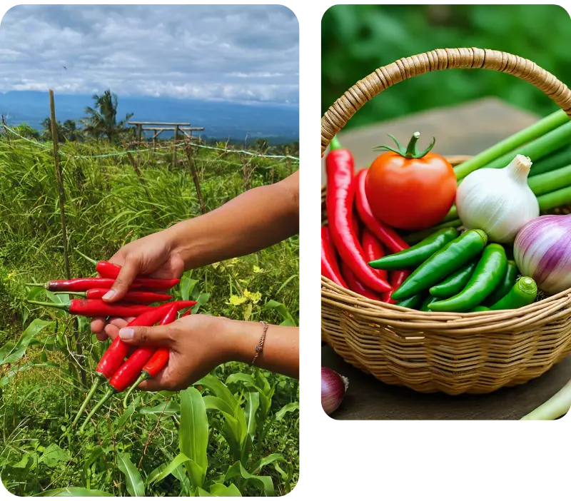 Visi Misi Toekang Bumbu